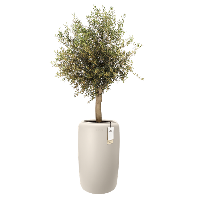 amber beads large 40cm blanco lino